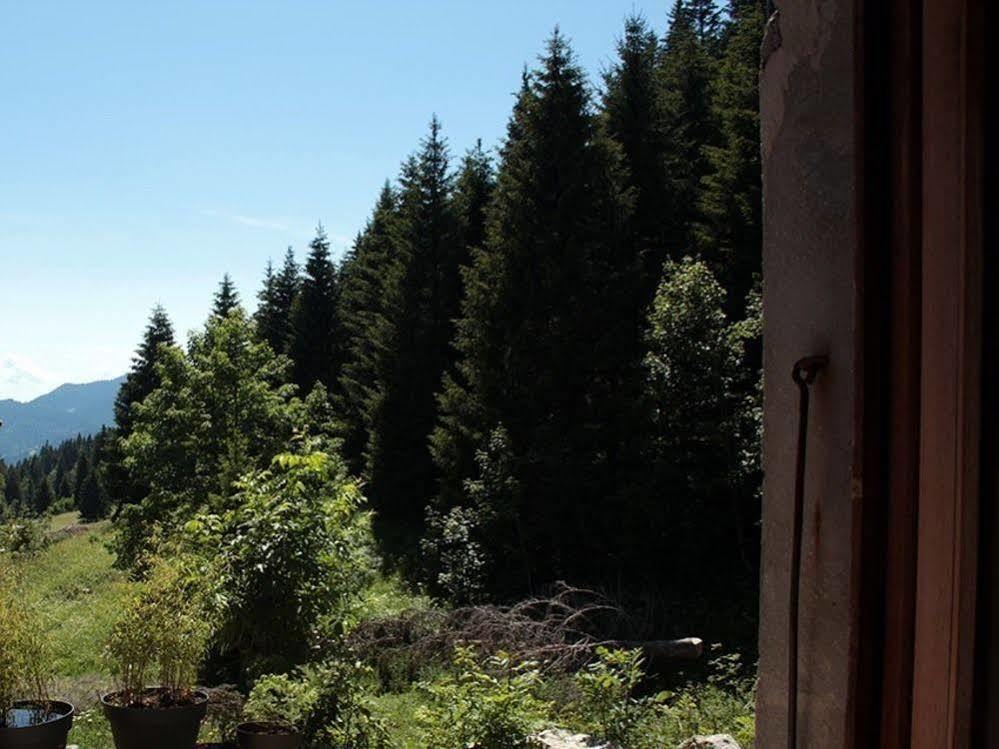 Les Ateliers Du Cucheron Saint-Pierre-de-Chartreuse Eksteriør bilde